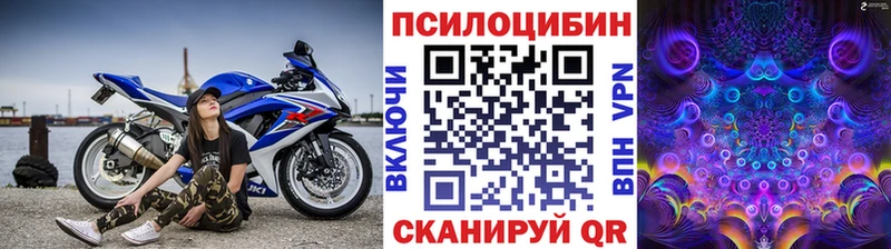ссылка на мегу сайт  Вихоревка  Галлюциногенные грибы Psilocybe 